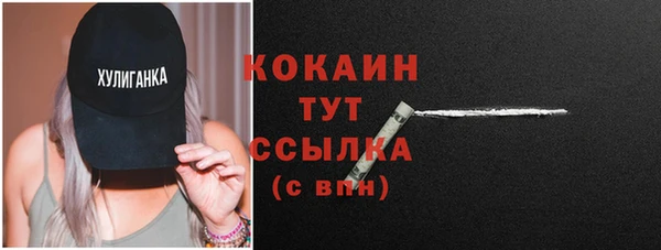 винт Абаза